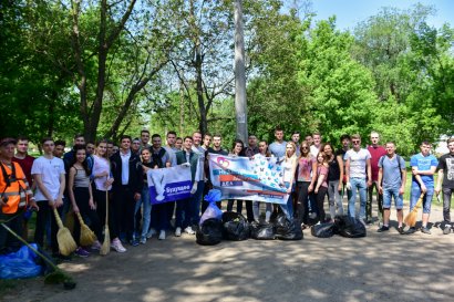 В рамках &laquo;Недели добрых дел&raquo; студенты убирают парки и навещают животных в приютах