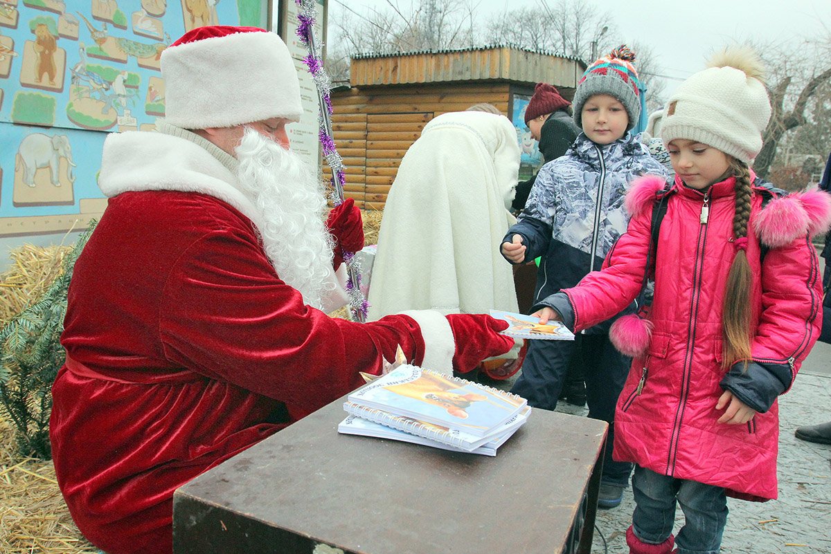 Новогодний Праздник В Зоопарке Новогодний Праздник В Зоопарке
