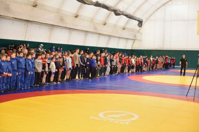 В Одессе проходит всеукраинский турнир по греко-римской борьбе памяти Константина Пульчо В Одессе проходит всеукраинский турнир по греко-римской борьбе памяти Константина Пульчо