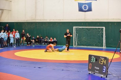В Одессе проходит всеукраинский турнир по греко-римской борьбе памяти Константина Пульчо В Одессе проходит всеукраинский турнир по греко-римской борьбе памяти Константина Пульчо