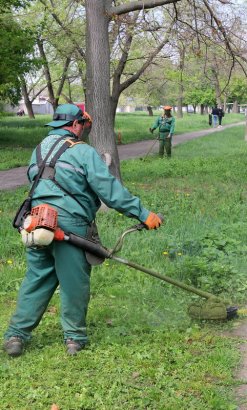 Студенты и активисты привели в порядок Азербайджанский парк