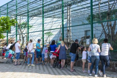 Детский праздник в Биопарке для меленьких одесситов