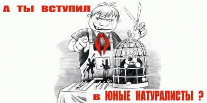 Изобретаем услужливого карателя? ВИДЕО Изобретаем услужливого карателя? ВИДЕО