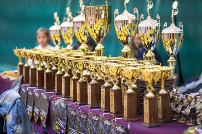 В Одессе прошел 5-й открытый кубок OOKAMI-KAN DOJO по контактному каратэ В Одессе прошел 5-й открытый кубок OOKAMI-KAN DOJO по контактному каратэ