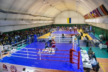 В Одессе проходит Чемпионат Украины по боксу среди юниоров памяти Романа Песина В Одессе проходит Чемпионат Украины по боксу среди юниоров памяти Романа Песина